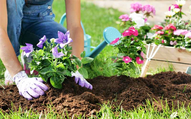Fare giardinaggio fa bene alla salute