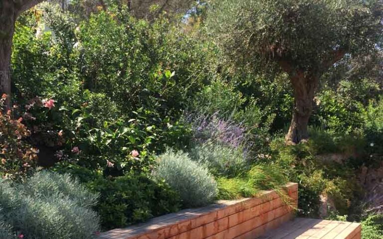 Arbusti fioriti per il giardino
