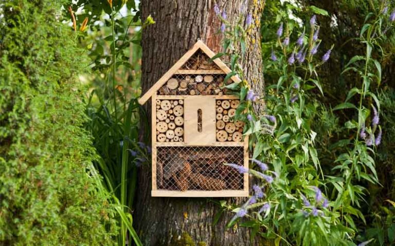 Bug Hotel