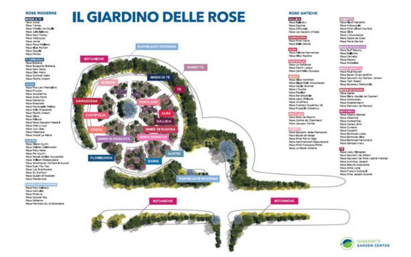 Il giardino delle Rose al Garden Center di Capoterra, protagonista dell'evento Rose in Festa