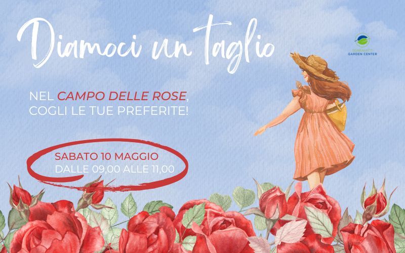 Diamoci un taglio, cogli le tue rose
