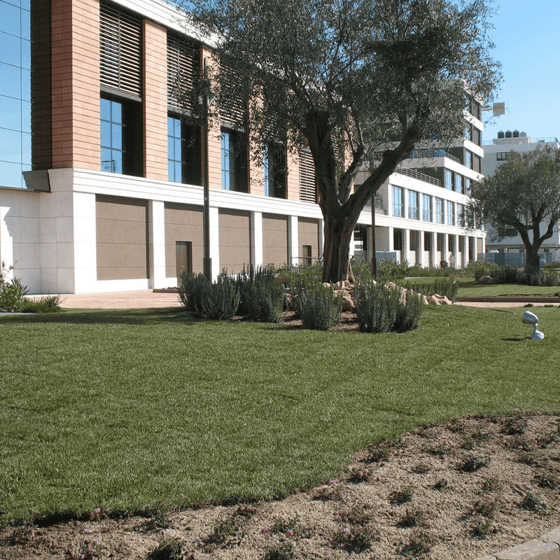 Giardini pubblici e privati
