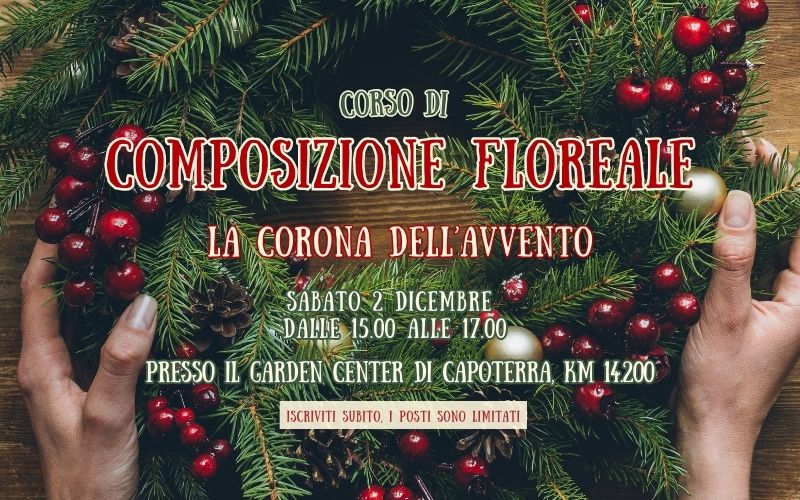 Corso composizioni natalizie