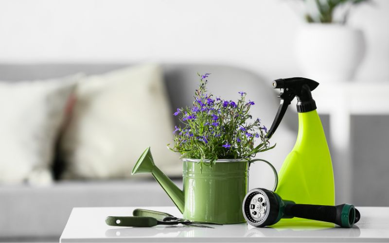 attrezzi giardinaggio indoor