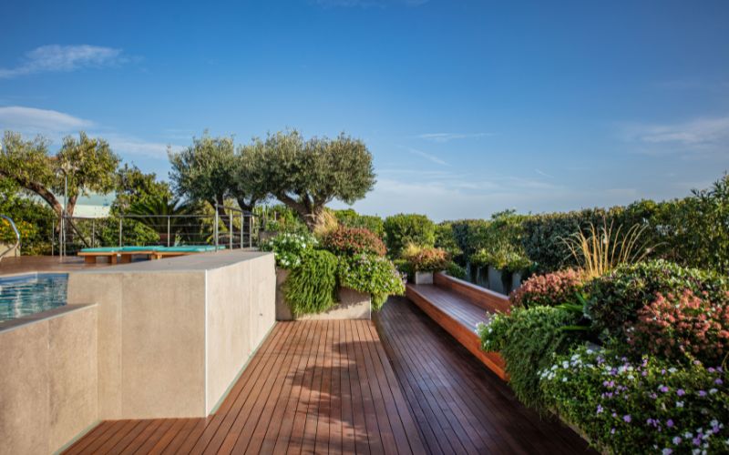 Piante frangivento in terrazzo