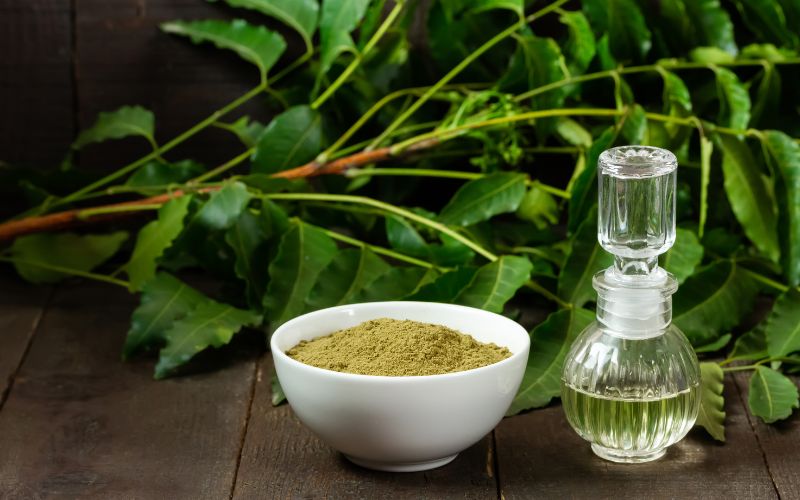 Olio di Neem
