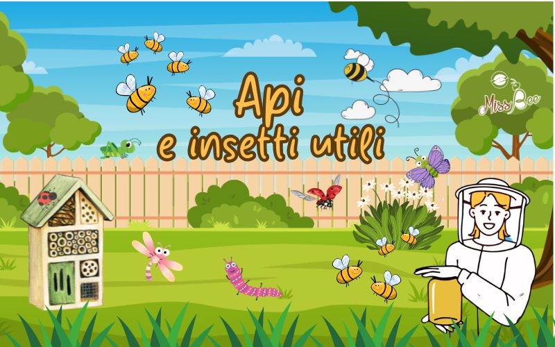 Corso sulle api