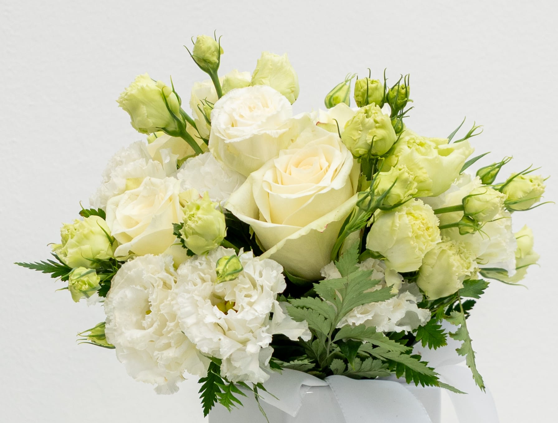 Candido incanto - immagine 2