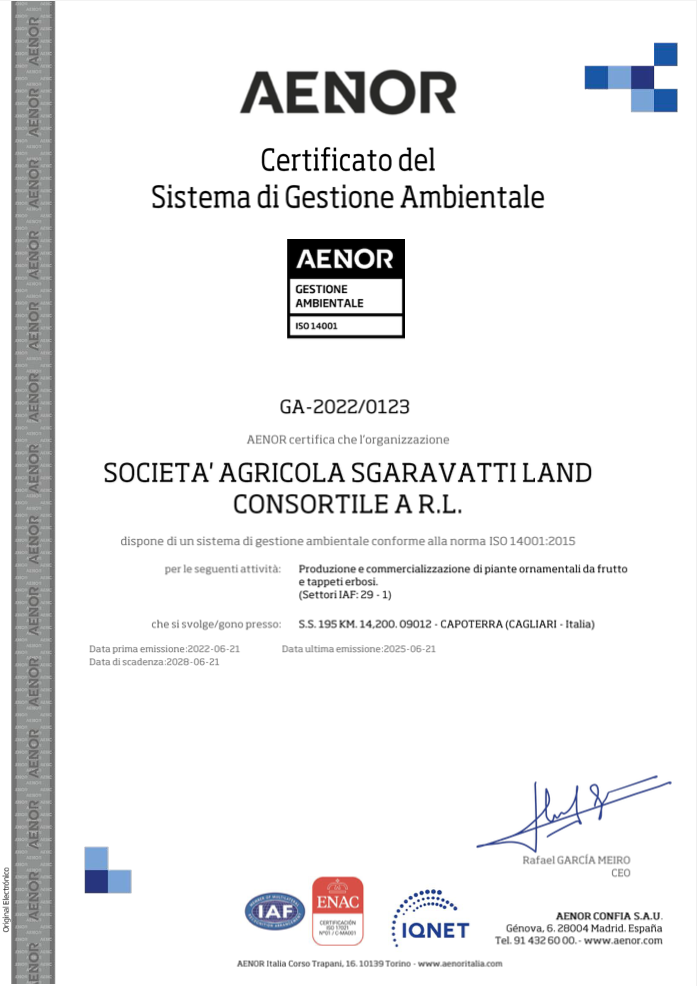 Iso14001-2028
