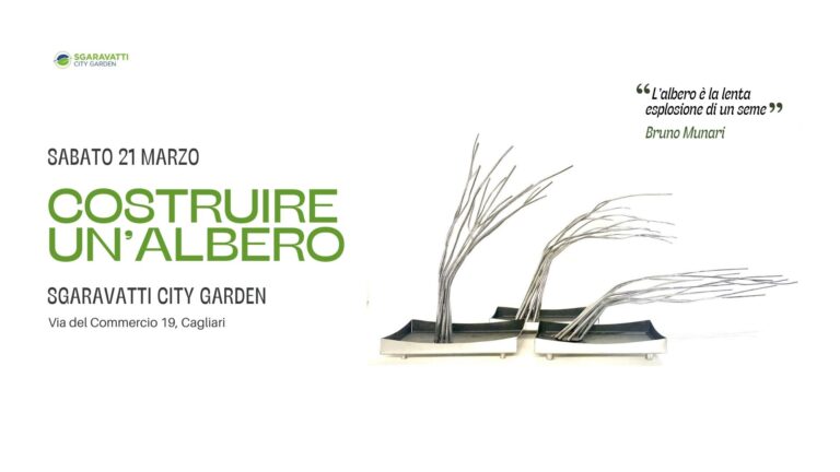 Costruire un albero al City Garden Sgaravatti