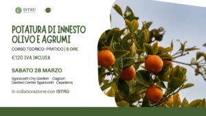 Corso di potatura e inserimento