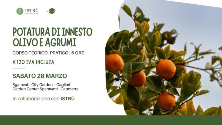 Corso di potatura e inserimento