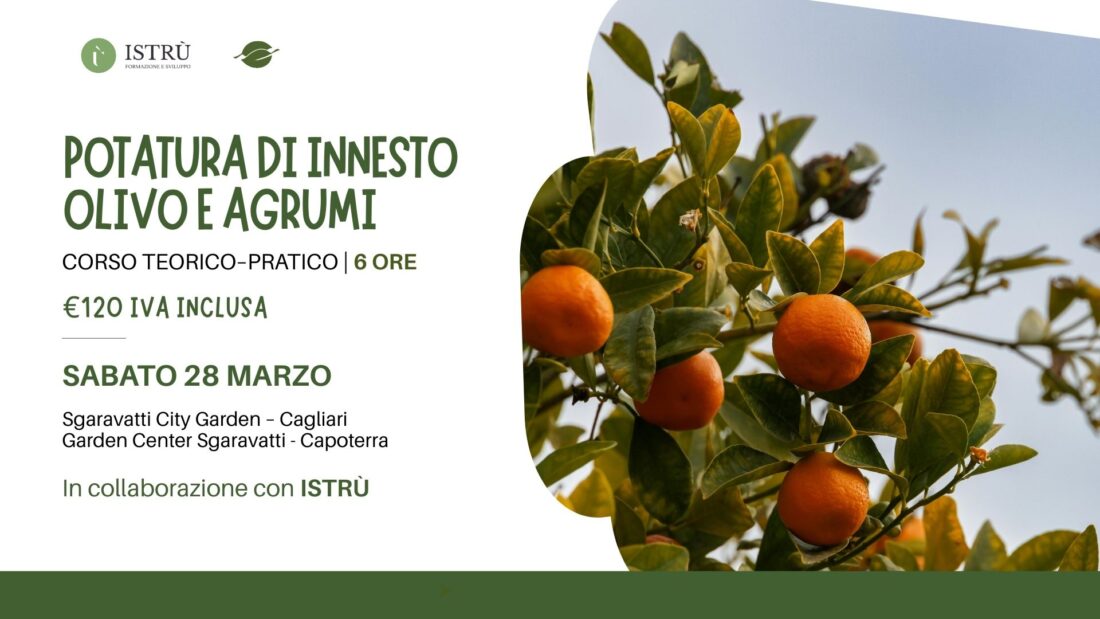 Corso di potatura e inserimento