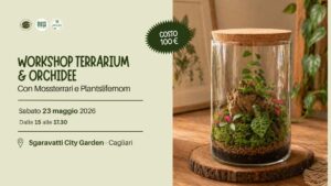 terrarium con orchidea