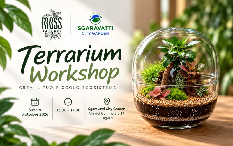 workshop terrarium 800 x 500 (1)